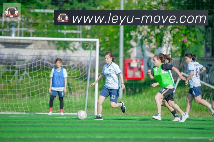 App Interface Preview